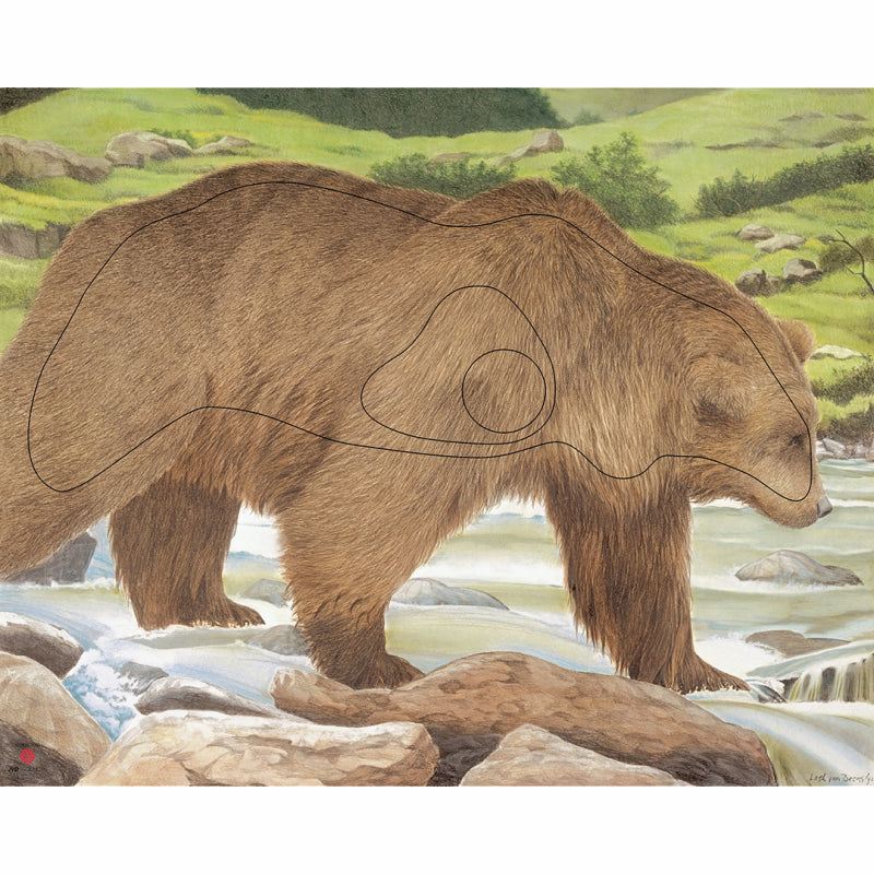 Bersaglio animale JVD Orso
