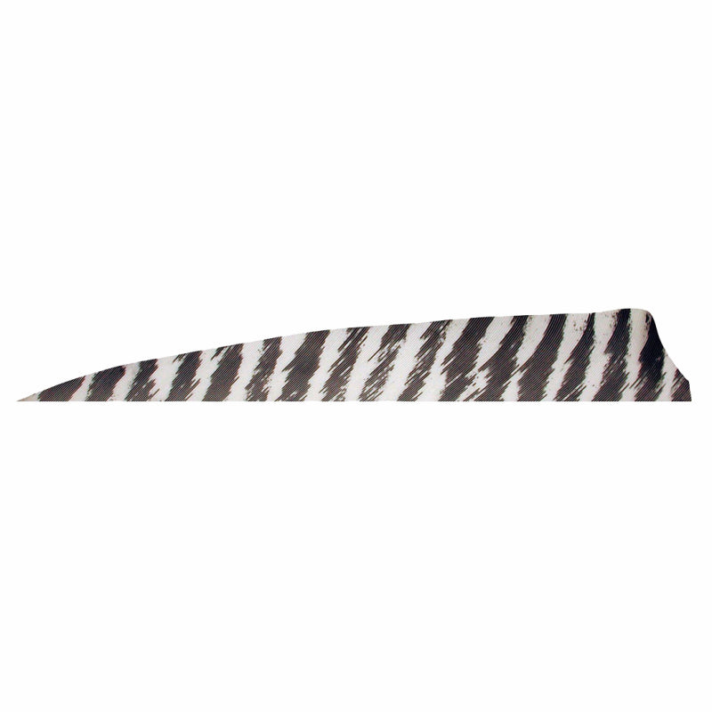 Alette Naturali Gateway 4" Shield Barrata