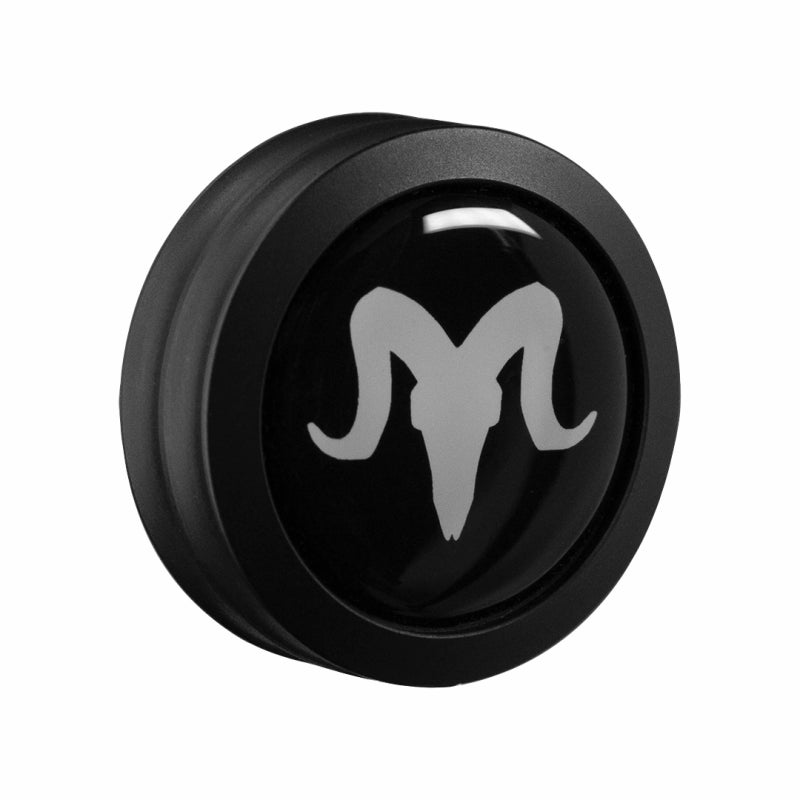 Peso Disco RamRods Cap Stainless Steel 2oz
