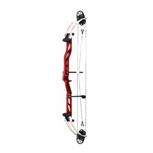 Arco Compound PSE Lazer X