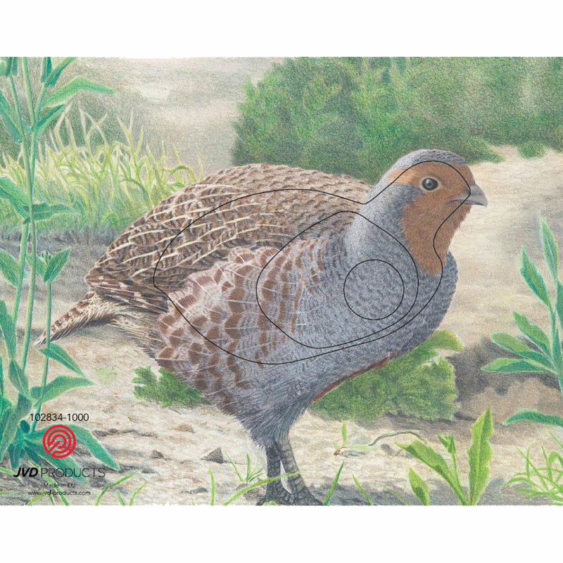 Bersaglio animale JVD Pernice
