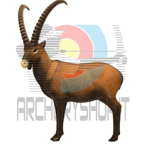 SRT Sagoma 3D Stambecco/Ibex