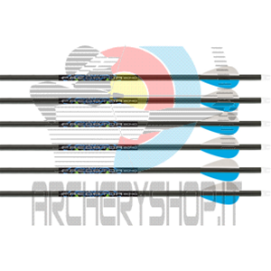 Archeryshop - Materiali e attrezzature per il tiro con l'arco - Freccia Carbon  Express Predator (12 pezzi) (4560) - Carbon Express