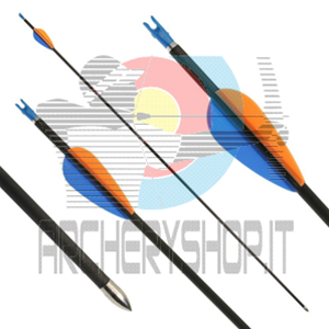 Archeryshop - Materiali e attrezzature per il tiro con l'arco - Freccia  Avalon Tyro completa (800) - Avalon